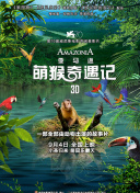 怀旧服中的团队合作：成功副本攻略